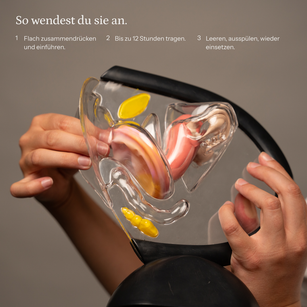 DISK Starter Set – So wendest du sie an.